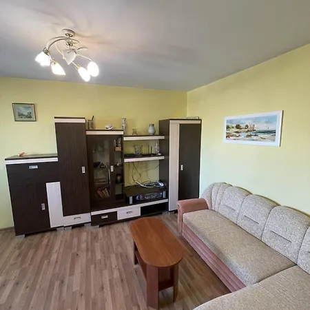 Apartament One Bedroom Kowno